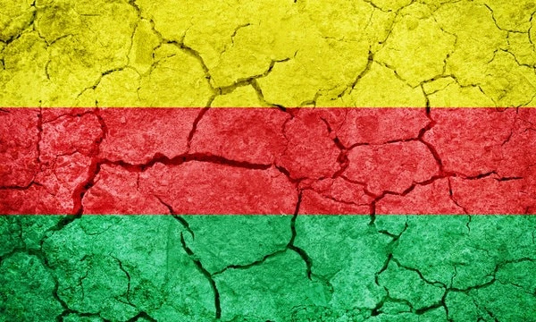 Visuel d’un drapeau à trois bandes horizontales jaune, rouge et vert, appliqué sur une texture de terre craquelée.