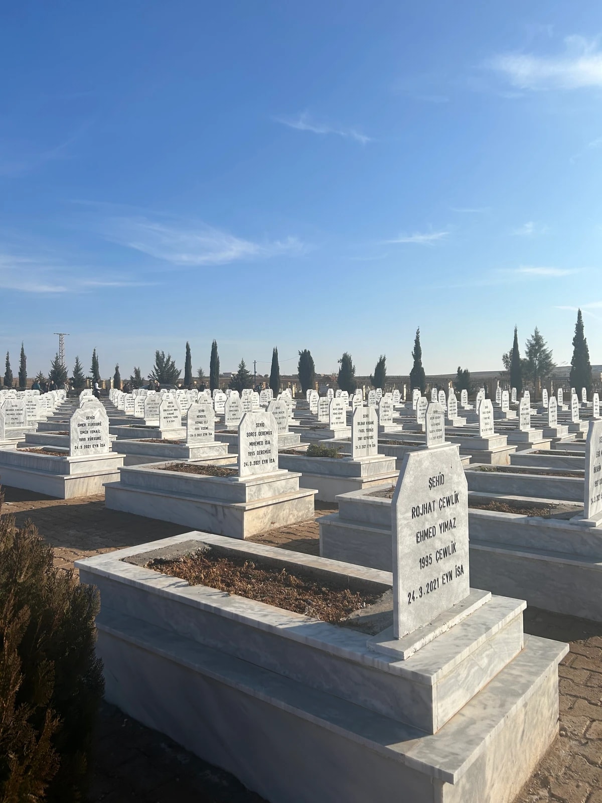 Rangées de stèles blanches identiques dans un cimetière, cyprès à l’horizon.